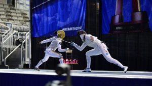 Fencing sport, sport fencing